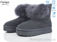 Купить Угги Угги Dageni HA1801-6