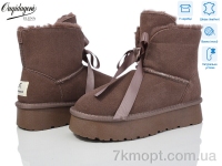 Купить Угги Угги Dageni HA8705-31