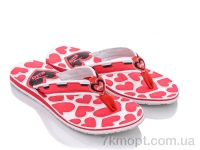 Купить Шлепки Шлепки Dan Marest W8523 red Купить Шлепки Шлепки Dan Marest W8523 red