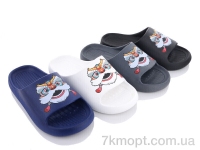 Купить Шлепки Шлепки Deshman B247-2 mix