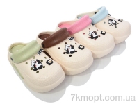 Купить Кроксы Кроксы Deshman SD10604 mix