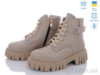 Купить Ботинки(зима) Ботинки Fat Fox-Tamei 1530-8