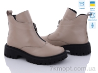 Купить Ботинки(весна-осень) Ботинки G-Aira 375 шок.ш.