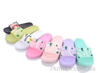 Купить Шлепки Шлепки Alex 1806-1 mix