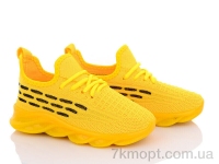 Купить Кроссовки  Кроссовки Alex 7287-4