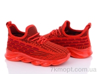 Купить Кроссовки  Кроссовки Alex 7287-6