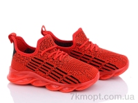 Купить Кроссовки  Кроссовки Alex 7288-6