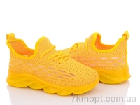 Купить Кроссовки  Кроссовки Alex 7289-4