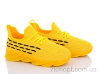 Купить Кроссовки  Кроссовки Alex 9279-4