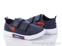 Купить Кроссовки  Кроссовки Alex FK3882-5