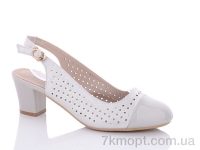 Купить Туфли Туфли Hongquan CO6