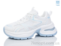 Купить Кроссовки Кроссовки Hongquan J1057-5