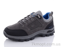 Купить Кроссовки Кроссовки Hongquan J789-2