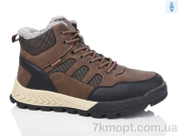 Купить Ботинки(зима)  Ботинки HOROSO-UFO B5322-3