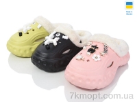 Купить Кроксы Кроксы Inblue Крокси CV300 mix