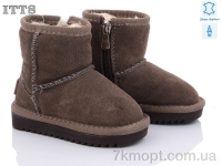 Купить Угги Угги ITTS 7801-12