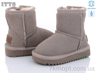 Купить Угги Угги ITTS 7801-17