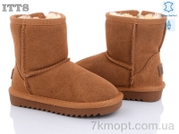 Купить Угги Угги ITTS 7805-20