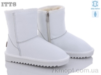 Купить Угги Угги ITTS 7805-9