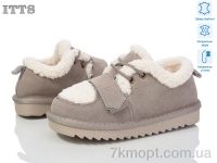 Купить Ботинки(зима) Ботинки ITTS 7830-17