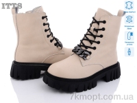 Купить Ботинки(зима) Ботинки ITTS DW5011-8