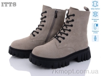 Купить Ботинки(зима) Ботинки ITTS DW5013-C