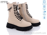 Купить Ботинки(зима) Ботинки ITTS DW5018-8