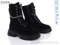 Купить Ботинки(зима) Ботинки ITTS DW5019-1