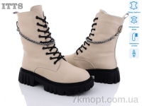 Купить Ботинки(зима) Ботинки ITTS DW5019-8