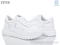 Купить Кроссовки Кроссовки ITTS MT67-2