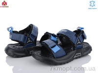 Купить Сандалии Сандалии KIMBOO T2479-3B