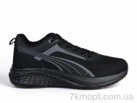 Купить Кроссовки Кроссовки KMB A682-3