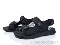 Купить Сандалии Сандалии LQD A031