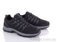 Купить Кроссовки Кроссовки LQD M60-1