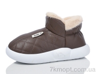 Купить Тапки Тапки Luck Line M2929-2 Купить Тапки Тапки Luck Line M2929-2