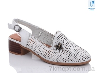 Купить Туфли Туфли Molo 225L-5 Купить Туфли Туфли Molo 225L-5