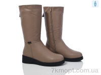 Купить Сапоги(зима) Сапоги Nayasitun B21