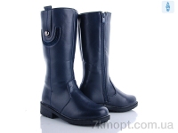 Купить Сапоги(зима) Сапоги Obuvok C542 blue