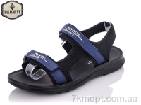 Купить Сандалии Сандалии PALIAMENT A1523-1