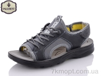 Купить Сандалии Сандалии PALIAMENT A662-7