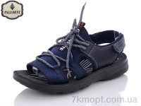 Купить Сандалии Сандалии PALIAMENT A663-1