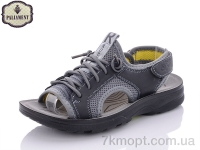 Купить Сандалии Сандалии PALIAMENT D662-7
