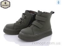 Купить Ботинки(весна-осень) Ботинки PALIAMENT FU903-6
