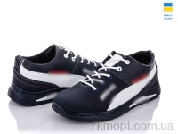 Купить Кроссовки  Кроссовки Paolla 22Д-6 сине-белый