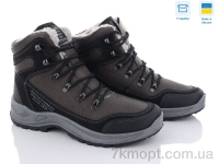 Купить Ботинки(зима)  Ботинки Paolla 361-6513 коричневий