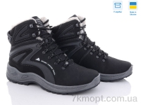 Купить Ботинки(зима)  Ботинки Paolla 364-6113