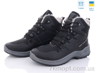 Купить Ботинки(зима)  Ботинки Paolla 365-6113