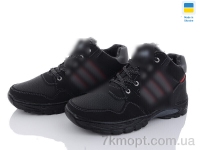 Купить Ботинки(зима)  Ботинки Paolla 531-1