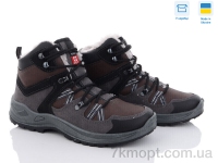 Купить Ботинки(зима)  Ботинки Paolla Paolla 357 коричневий