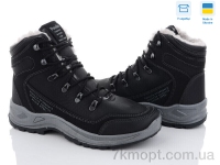 Купить Ботинки(зима)  Ботинки Paolla Paolla 361-6113